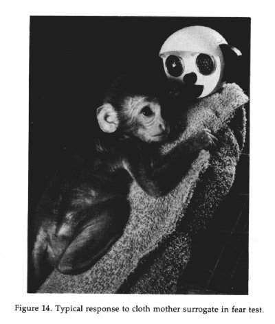 BBC4 Show on Harlow s Monkeys Advances in the History of Psychology