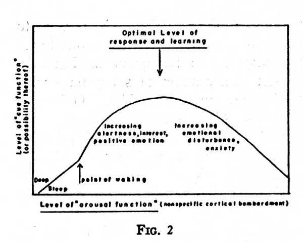 arousal inverted u theory. arousal motivation theory