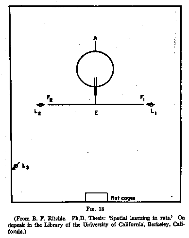 COGNITIVE MAPS IN RATS AND MEN